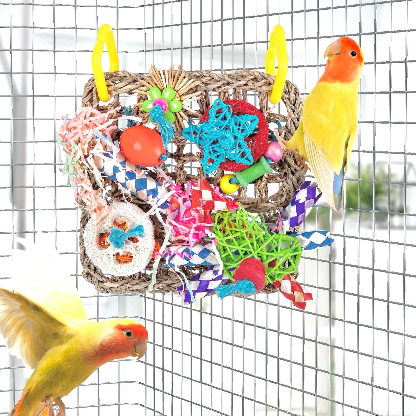 Rainbow Climbing Net