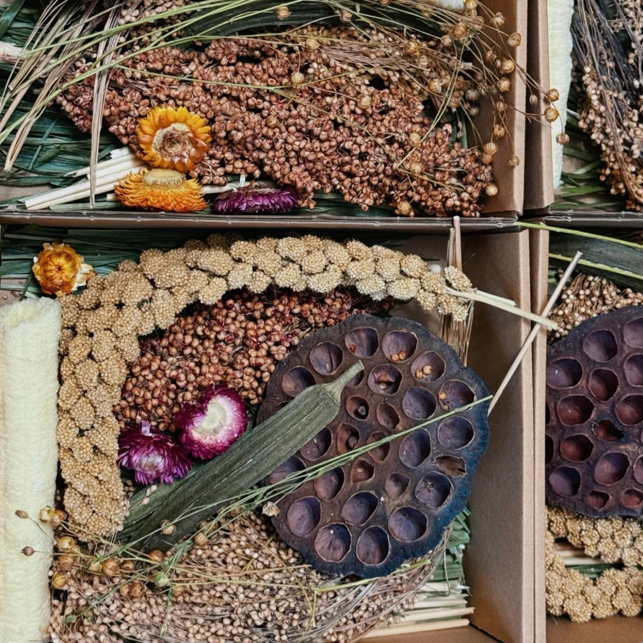 🌺🌺Foraging Box