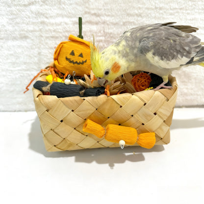 🎃🎃HALLOWEEN-ONLY Cage Decor Set.