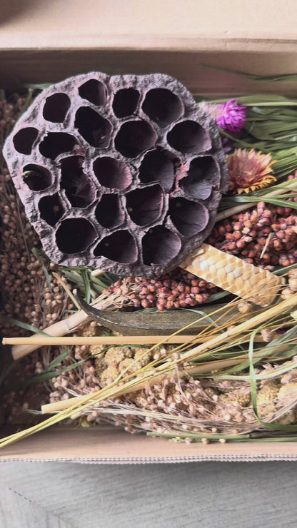 🌺🌺Foraging Box